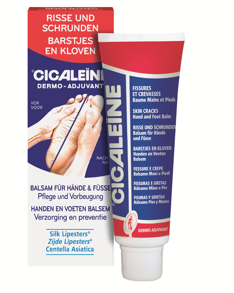 CICALEINE-2018-NL-DEU